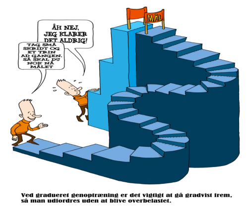 sm&aring; skridt er vejen frem.png