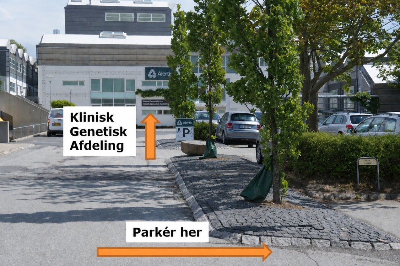 Når du kører ind på parkeringsområdet ved Brendstrupgårdsvej 21 C, skal patienter og pårørende parkere på de pladser, der er angivet med ”betalingsparkering”.